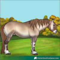 Horse Color:Liver Red Dun Onyx 