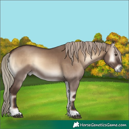 Horse Color:Liver Red Dun Onyx 