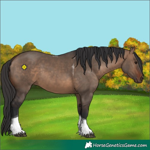 Horse Color:Brown Dun Tobiano 