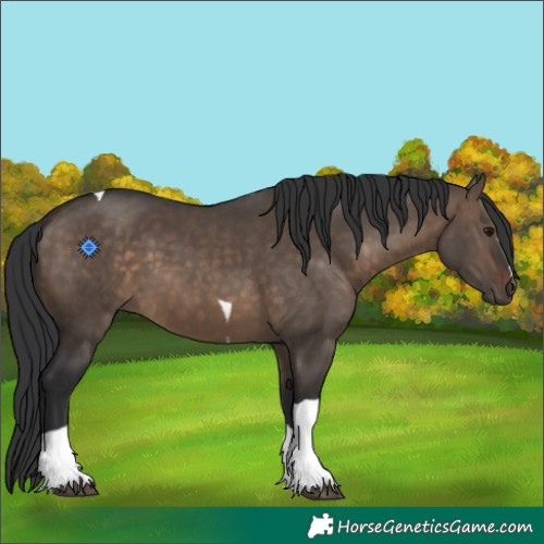 Horse Color:Brown Dun Tobiano 