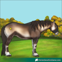 Horse Color:Liver Red Onyx