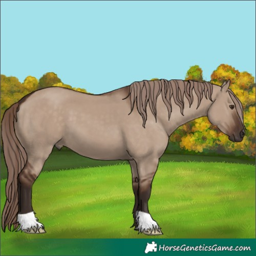 Horse Color:Liver Red Dun 