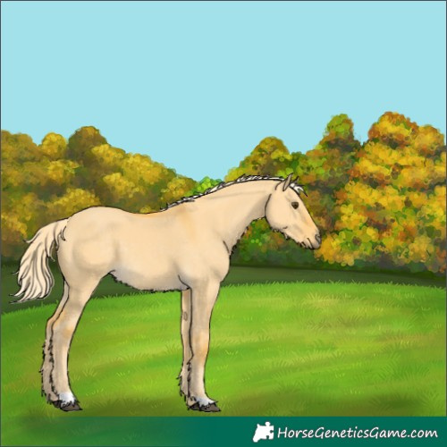 Horse Color:Palomino Dun 