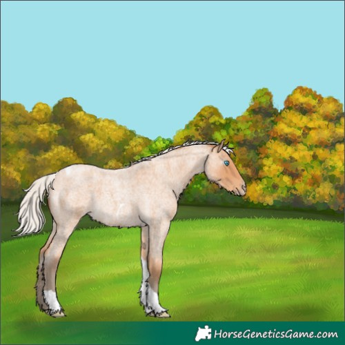 Horse Color:Gray Silver Perlino Roan Tobiano 