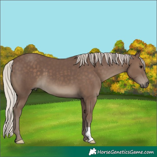 Horse Color:Silver Black 