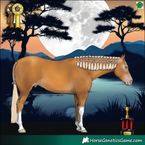 Horse Color:Gray Gold Cream Champagne Tobiano 