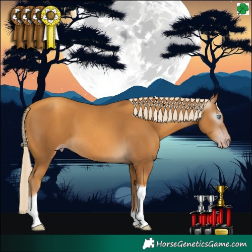 Horse Color:Gray Gold Cream Champagne Tobiano 