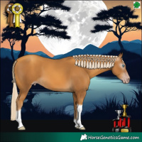 Horse Color:Gray Gold Cream Champagne Tobiano