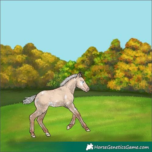 Horse Color:White Spotted Silver Amber Champagne Dun 