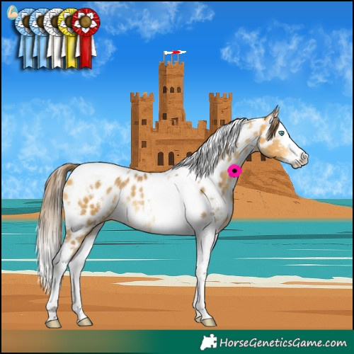 Horse Color:White Spotted Amber Cream Champagne Splash Tobiano Near Leopard Rabicano 