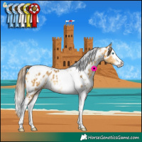 Horse Color:White Spotted Amber Cream Champagne Splash Tobiano Near Leopard Rabicano 