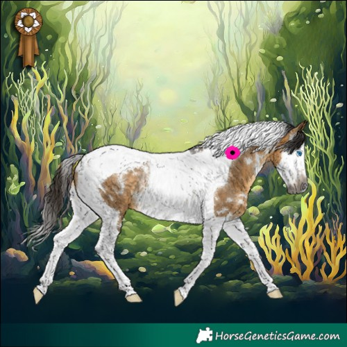 Horse Color:Gray White Spotted Buckskin Dun Splash Tobiano Varnish Rabicano 