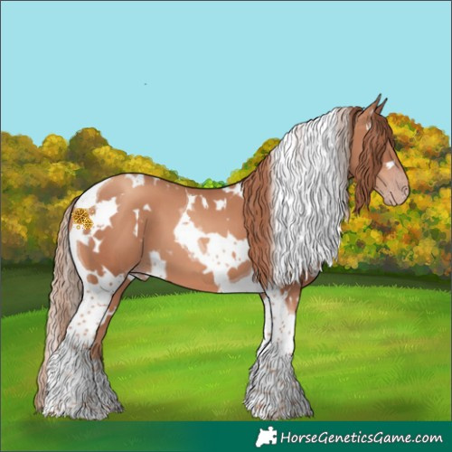 Horse Color:White Spotted Gold Champagne Tobiano 