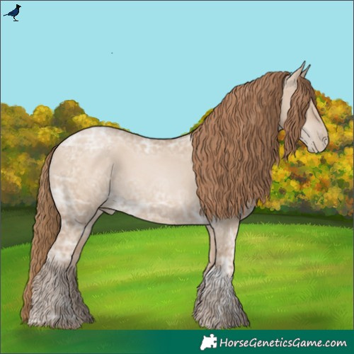 Horse Color:Void Grullo Ice Pearl Rabicano 