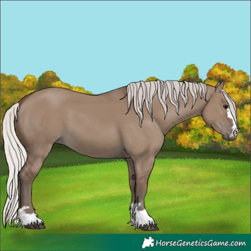 Horse Color:Silver Grullo