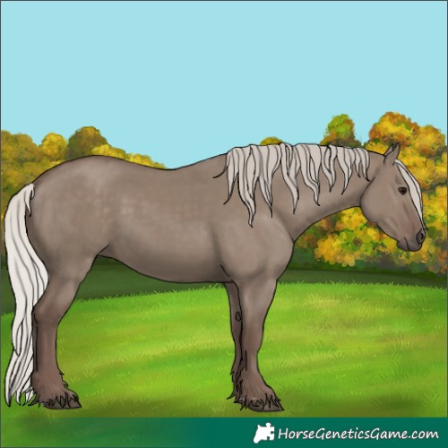 Horse Color:Silver Grullo 