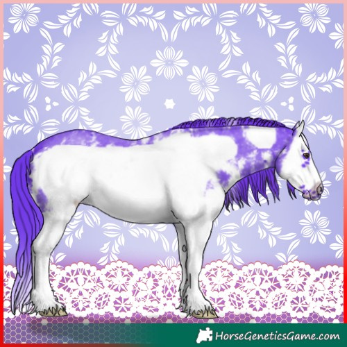 Horse Color:Watercolor Liver Chestnut Sabino Splash Frame