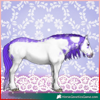 Horse Color:Watercolor Liver Chestnut Sabino Splash Frame