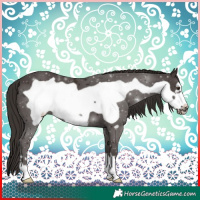 Horse Color:Liver Chestnut Frame