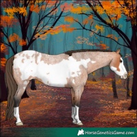 Horse Color:Bay Roan Frame Blanket