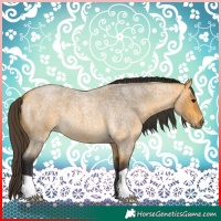 Horse Color:Buckskin Roan 