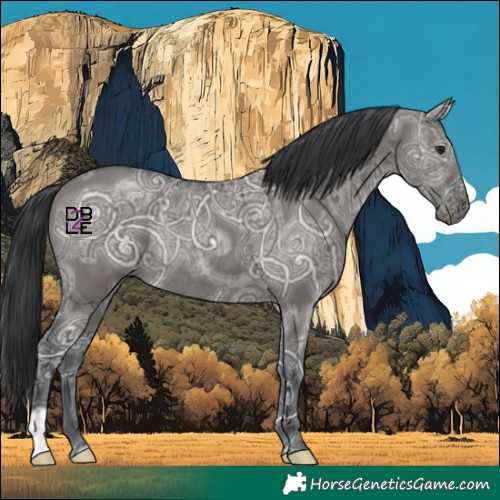 Horse Color:Grullo Ice Rabicano