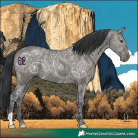 Horse Color:Grullo Ice Rabicano 