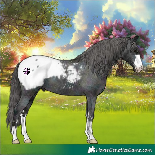 Horse Color:Midnight Black Ice Snowcap 