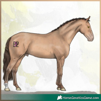 Horse Color:Amber Champagne 