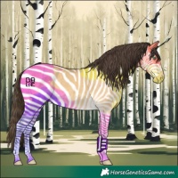 Horse Color:Sable Cream Champagne Dun 