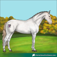 Horse Color:White Spotted Blue Roan Pearl Mushroom Varnish 