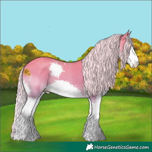 Horse Color:Silver Smoky Creme Sabino Splash 