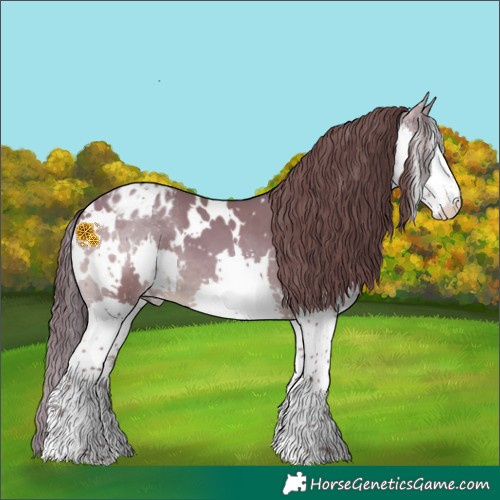 Horse Color:White Spotted Amber Champagne Splash Appaloosa 