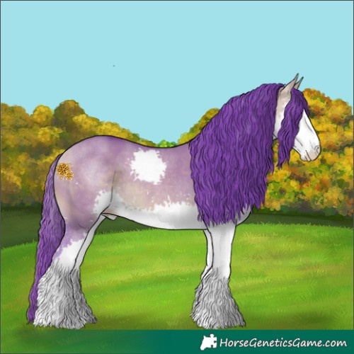 Horse Color:Watercolor Buckskin Dun Splash Rabicano 