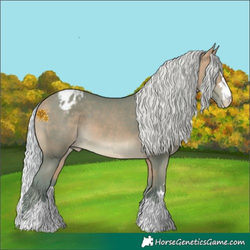 Horse Color:Watercolor Silver Buckskin Appaloosa 