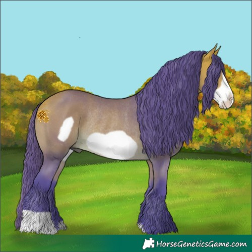 Horse Color:Watercolor Buckskin Frame Rabicano 