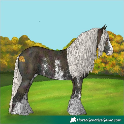 Horse Color:Midnight Silver Amber Cream Champagne Ice Sabino Rabicano 