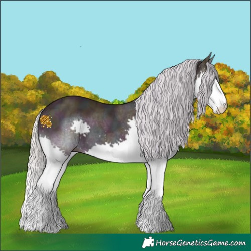 Horse Color:Watercolor Midnight Silver Perlino Ice Splash 