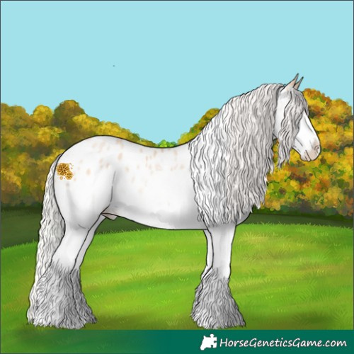 Horse Color:Silver Buckskin Pearl Splash Tobiano Appaloosa 