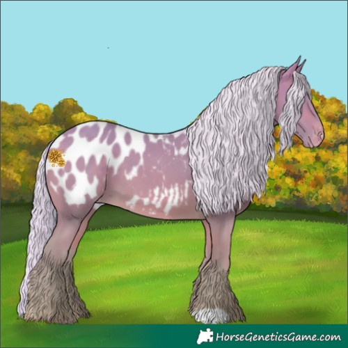 Horse Color:Watercolor Silver Perlino Blanket 