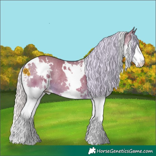 Horse Color:White Spotted Silver Sable Cream Champagne Splash Rabicano 