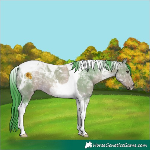 Horse Color:Watercolor Buckskin Ice Dun Tobiano 