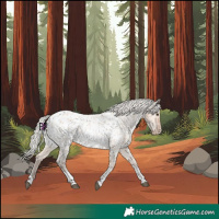 Horse Color:Silver Bay Roan Dun Tobiano Appaloosa Rabicano