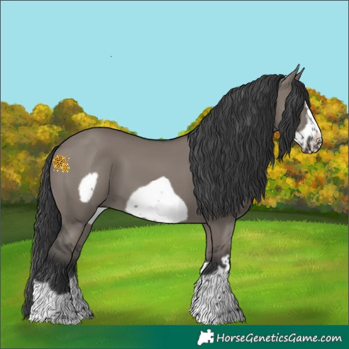 Horse Color:Grullo Frame 