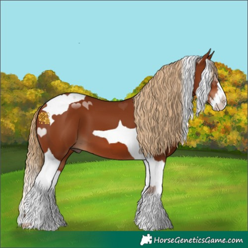 Horse Color:Chestnut Splash Tobiano 