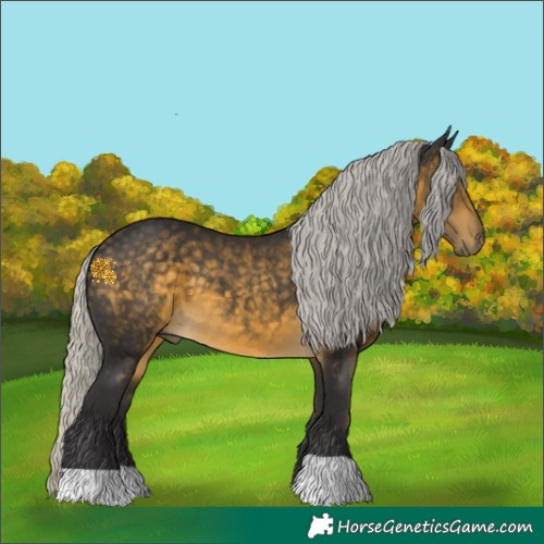 Horse Color:Silver Buckskin 