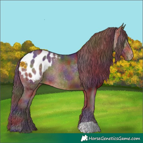 Horse Color:Nacre Chocolate Brown Appaloosa 