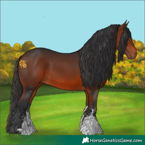 Horse Color:Bay Sabino Rabicano 