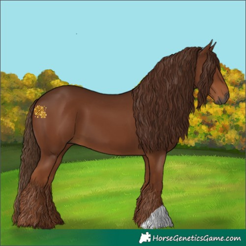 Horse Color:Gray Chestnut 
