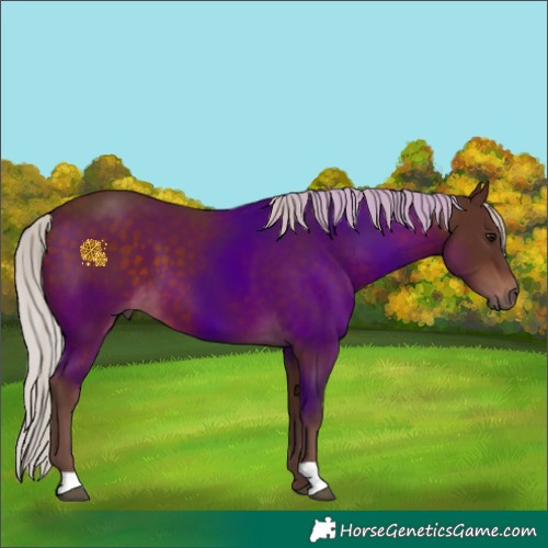 Horse Color:Chocolate Silver Brown 